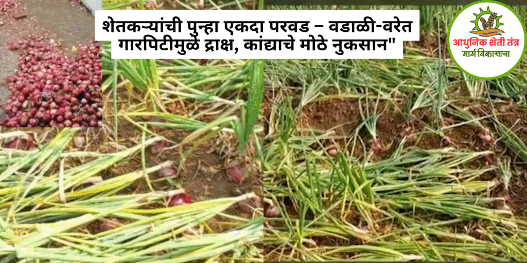 “मान्सूनपूर्व गारपिट आणि पावसाचा तडाखा – नाशिक जिल्ह्यात ८,३११ शेतकरी बाधित”