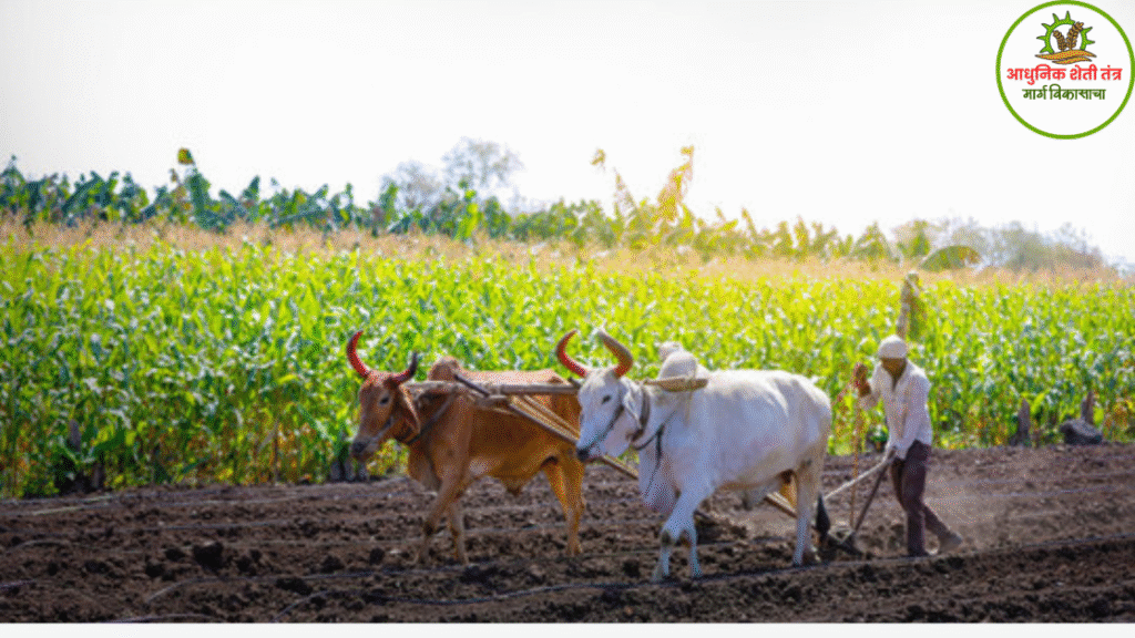 Image reference - farmer