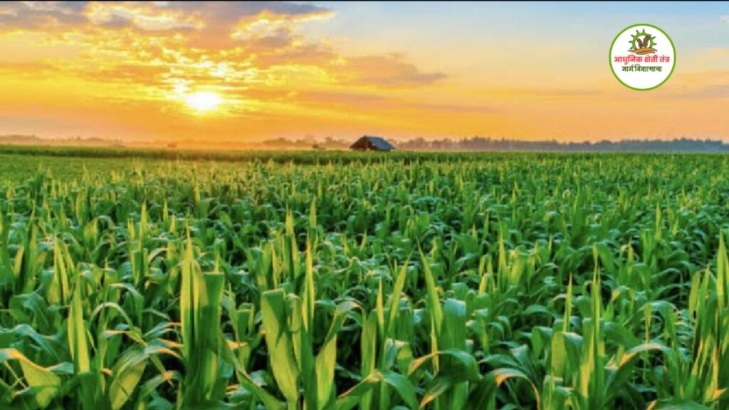 Image Reference-ग्रामशेती पर्यटन Agricultural tourism