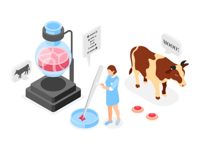 Artificial Grown Meat Isometric Composition