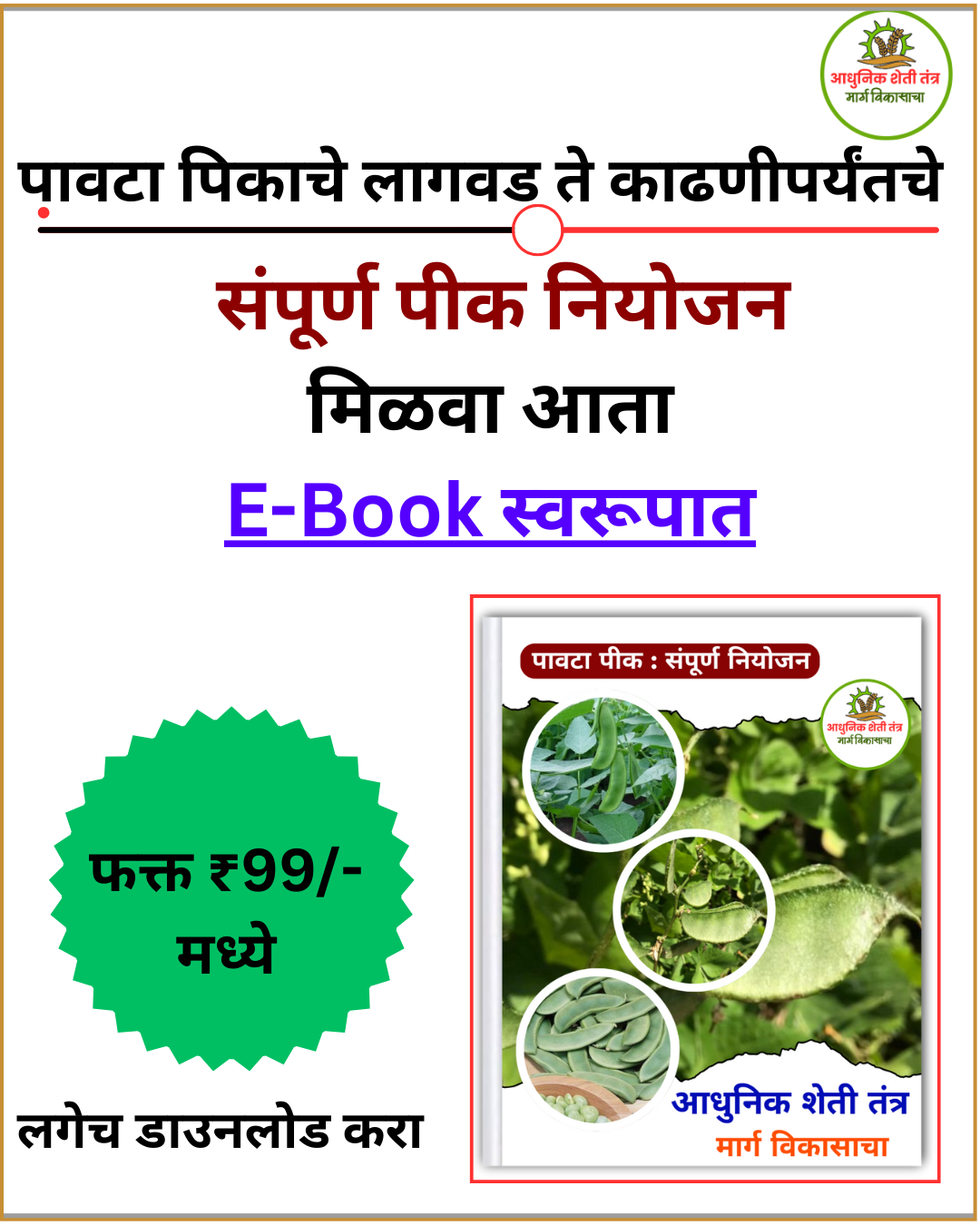 पावटा पीक संपूर्ण  नियोजन
