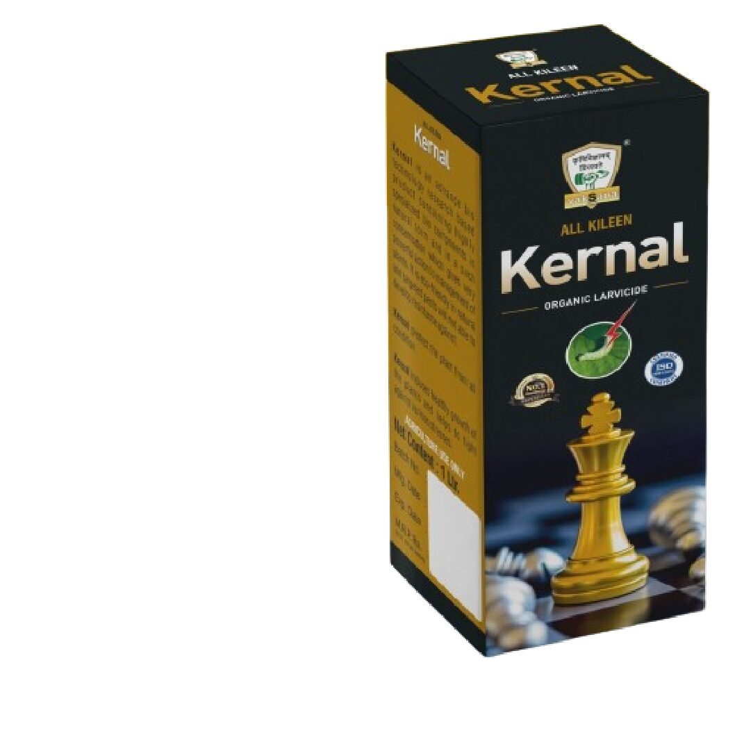 KERNAL