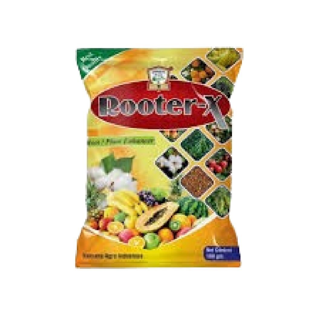 ROOTER-X
