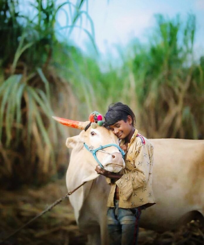 child-holding-horse-field