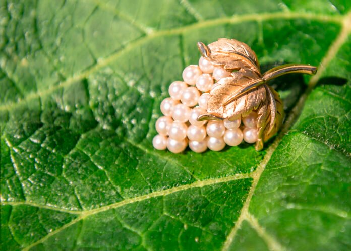 close-up-brooch-leaf