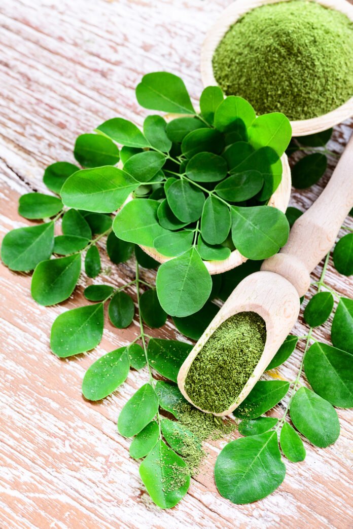 Moringa powder (Moringa Oleifera) with original fresh Moringa le