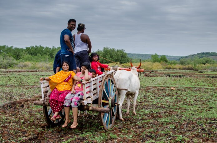 people-ox-cart-against-sky
