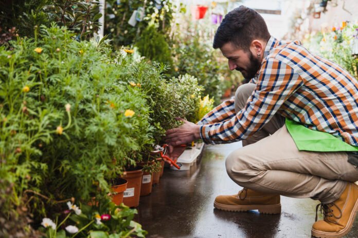 side-view-man-cutting-plants-greenhouse