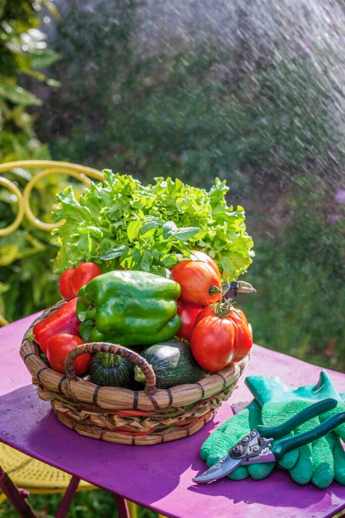 Vegetables