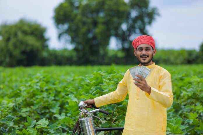 Happy Young indian farmer counting and showing money at cotton field