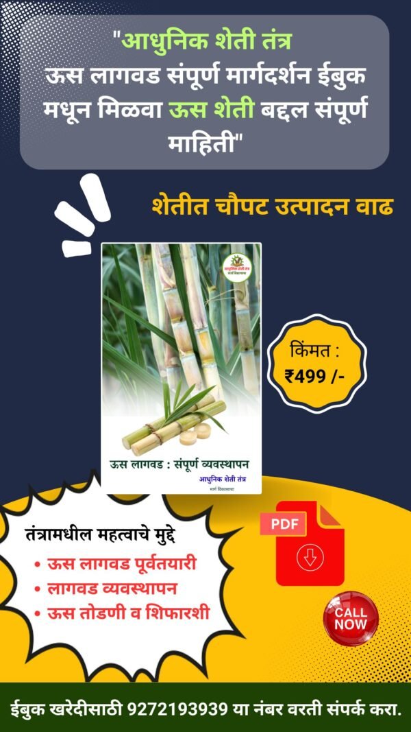 ऊस लागवड - Image 2