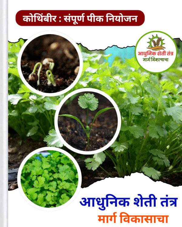 कोथिंबीर पीक ebook - Image 2