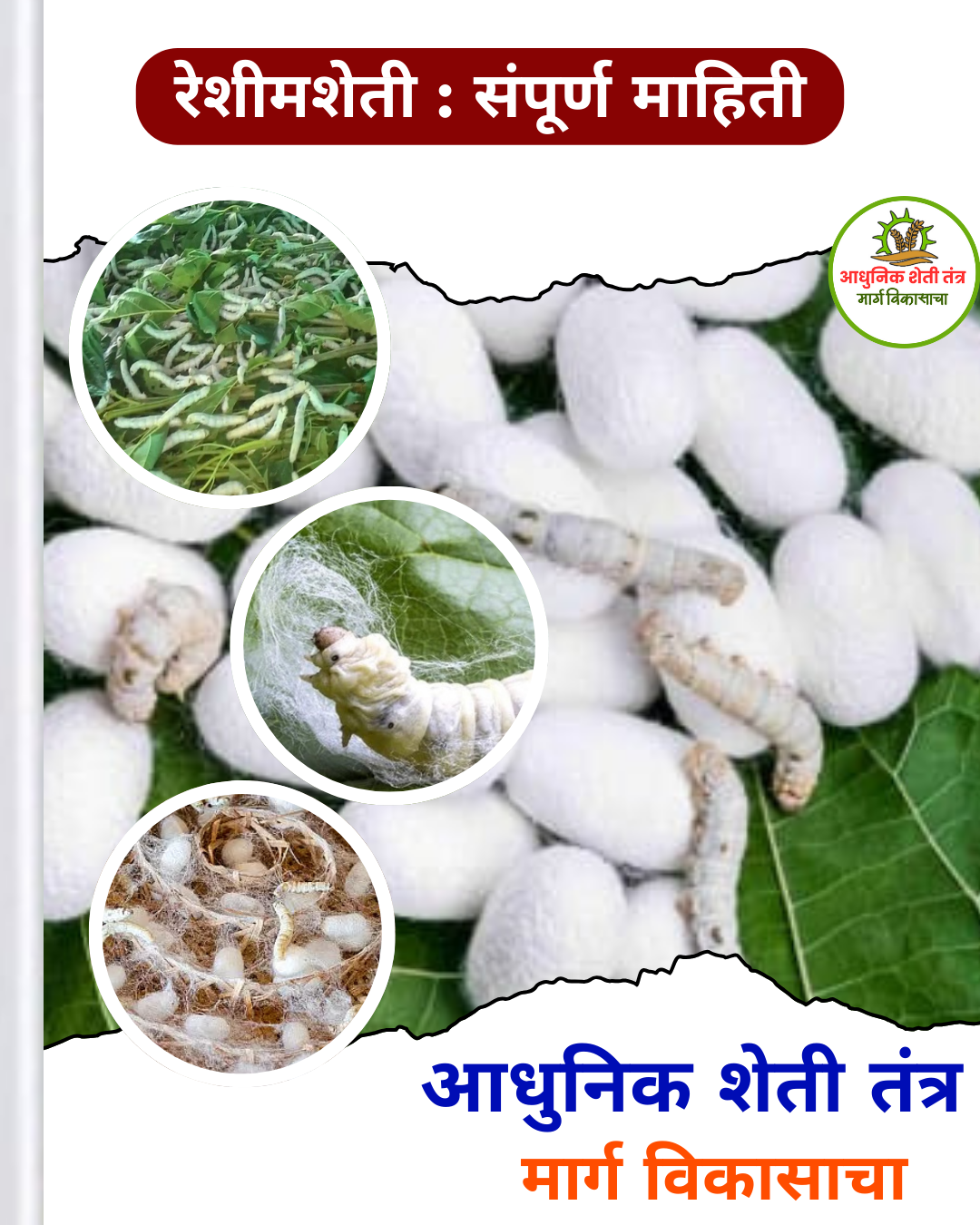 रेशीमशेती  संपूर्ण माहिती