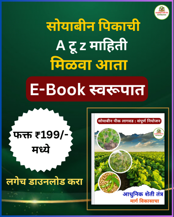 सोयाबीन पिकाची A टू z माहिती - Image 3