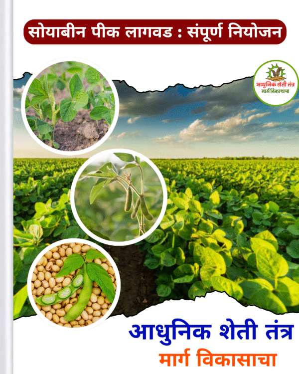 सोयाबीन पिकाची A टू z माहिती - Image 2