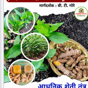 हळद व अद्रक नियोजन