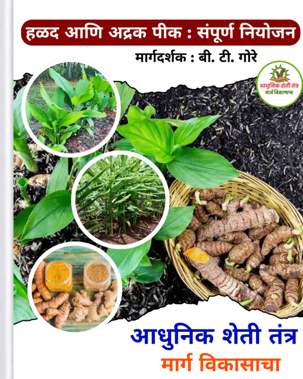 हळद व अद्रक नियोजन