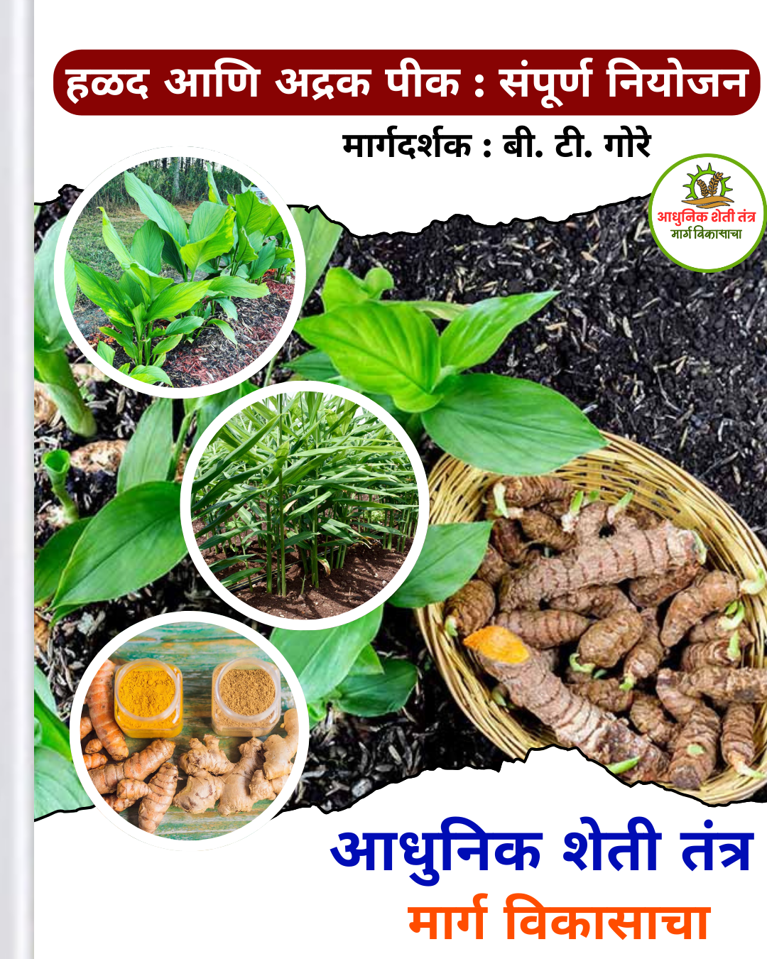 हळद व अद्रक नियोजन