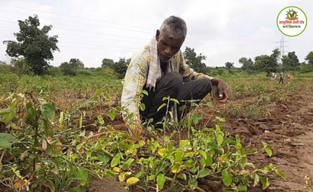 अतिवृष्टी नुकसान भरपाई