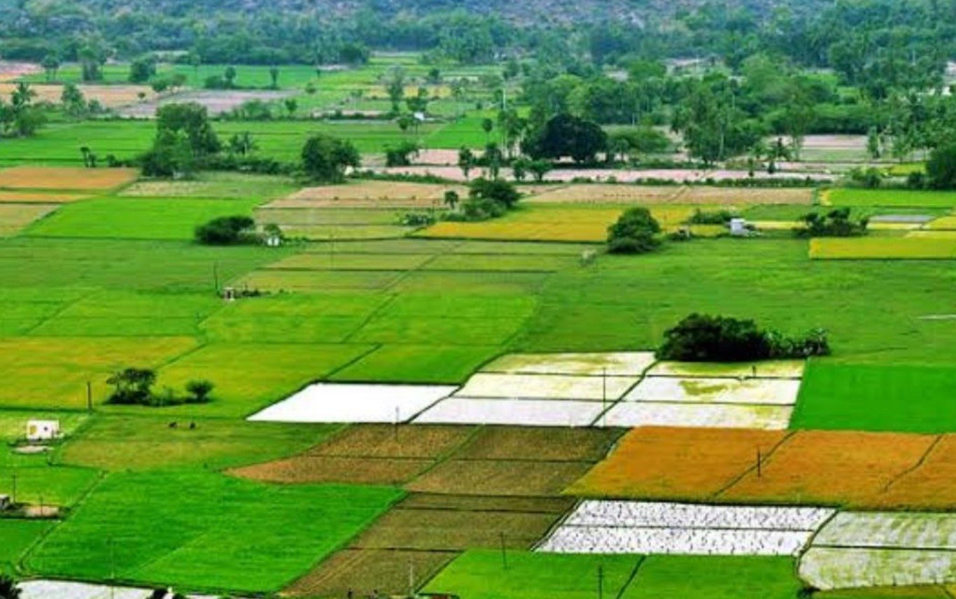 भूमिहीन शेतकरी जमीन निर्णय